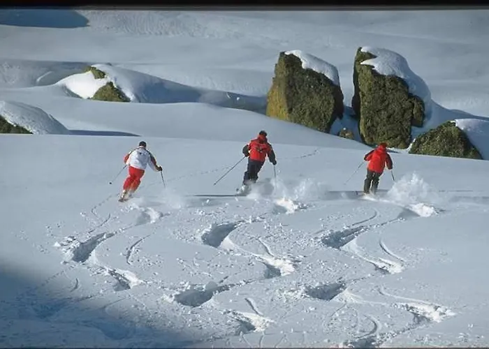 Lejlighed & Taxi Tirana