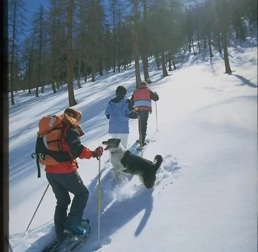Lejlighed & Taxi Tirana *