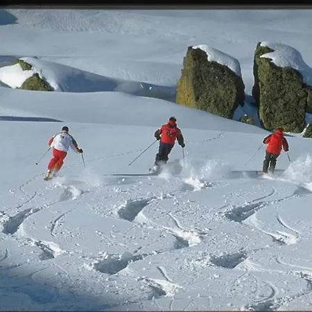 Apartman & Taxi Tirana